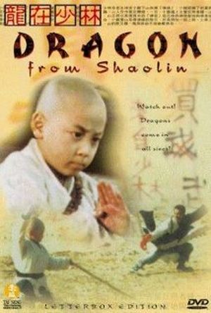 Dragon in Shaolin