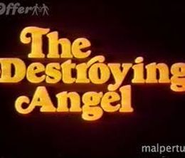 image-https://media.senscritique.com/media/000008062671/0/the_destroying_angel.jpg