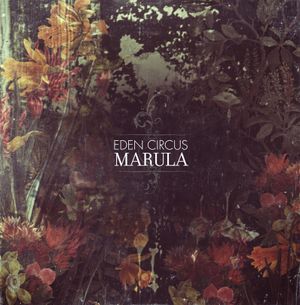 Marula