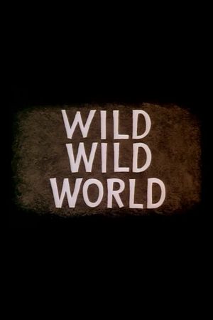 Wild Wild World