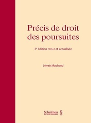 Précis de droit des poursuites