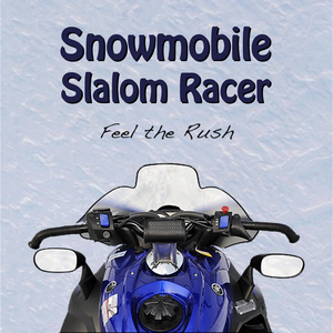 Snowmobile Slalom Racer