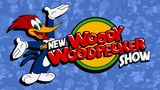 Affiche The New Woody Woodpecker Show