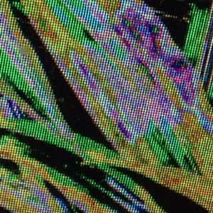 EICV7" No. 89 (EP)