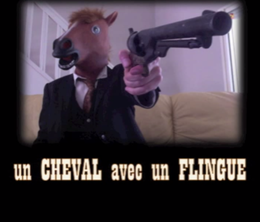 image-https://media.senscritique.com/media/000008150089/0/un_cheval_avec_un_flingue.png