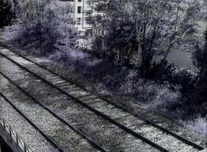 Petite Ceinture