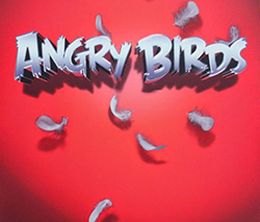 image-https://media.senscritique.com/media/000008187763/0/angry_birds_le_film.jpg