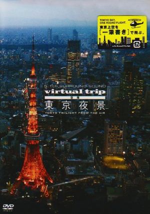 Virtual Trip - Tokyo Twilight from the Air