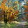 Avatar Aurore_Goodwater Avatar Aurore_Goodwater