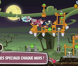 image-https://media.senscritique.com/media/000008308565/0/Angry_Birds_Friends_mobile.jpg