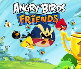 image-https://media.senscritique.com/media/000008308566/0/Angry_Birds_Friends_mobile.jpg