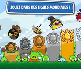 image-https://media.senscritique.com/media/000008308567/0/Angry_Birds_Friends_mobile.jpg