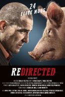 Affiche Redirected