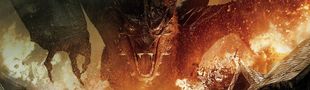 Cover Dragons