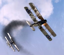 image-https://media.senscritique.com/media/000008337107/0/Rise_of_Flight_Channel_Battles_Edition.jpg
