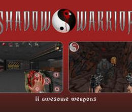 image-https://media.senscritique.com/media/000008340486/0/Shadow_Warrior.jpg