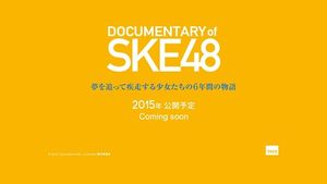 Documentary of SKE48: Yume wo Otte Shissou suru Shoujotachi no Roku-Nenkan no Monogatari
