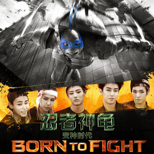 Born To Fight (OST)