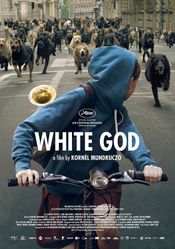 Affiche White God