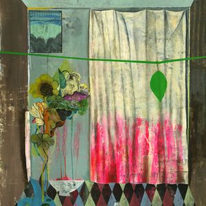 Windows are chameleons