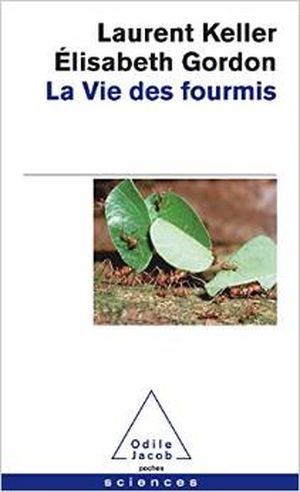 La vie des fourmis