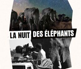 image-https://media.senscritique.com/media/000008386526/0/la_nuit_des_elephants.jpg