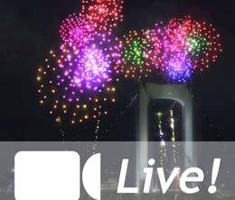 image-https://media.senscritique.com/media/000008460919/0/Live_HANABI_Fireworks.png