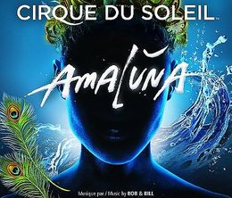 image-https://media.senscritique.com/media/000008465067/0/amaluna_cirque_du_soleil.jpg