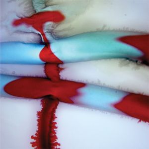 Starting Block (Single)