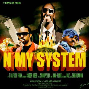 N My System (Single)
