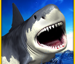 image-https://media.senscritique.com/media/000008501803/0/Angry_Shark_Simulator_3D.png
