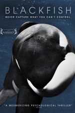 Affiche Blackfish Affiche Blackfish