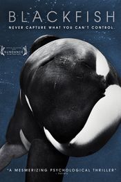 Affiche Blackfish Affiche Blackfish