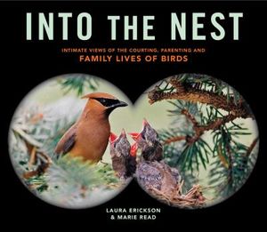 Into the Nest