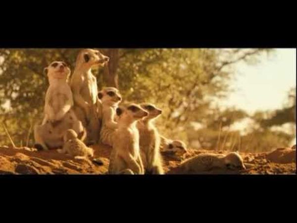 La Famille suricate