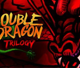 image-https://media.senscritique.com/media/000008625900/0/Double_Dragon_Trilogy.jpg