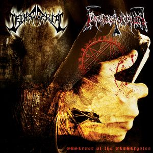 OBSErver of the NETHErgates (Single)