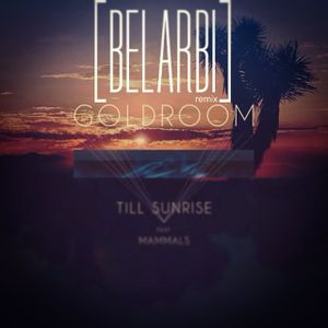 Till Sunrise (Belarbi remix)