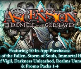 image-https://media.senscritique.com/media/000008657634/0/ascension_chronicle_of_the_godslayer.jpg