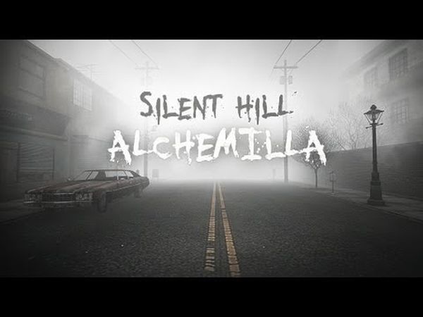 Alchemilla