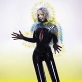 Pochette Vulnicura