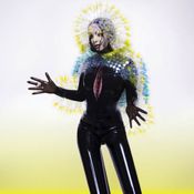 Pochette Vulnicura