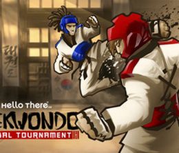 image-https://media.senscritique.com/media/000008672227/0/Taekwondo_Game_Global_Tournament.jpg