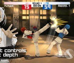 image-https://media.senscritique.com/media/000008672230/0/Taekwondo_Game_Global_Tournament.jpg