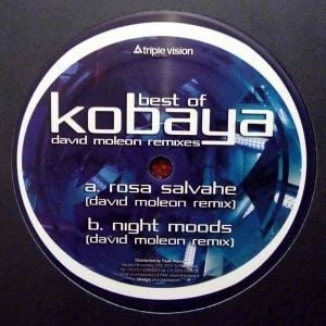 Best of Kobaya: David Moleon Remixes