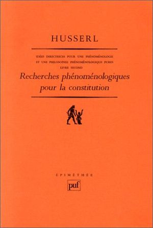 Recherches phénoménologiques pour la constitution