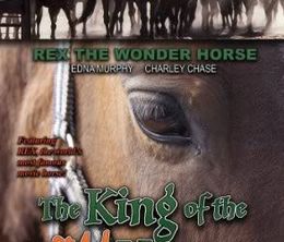image-https://media.senscritique.com/media/000008756089/0/the_king_of_the_wild_horses.jpg