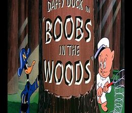 image-https://media.senscritique.com/media/000008756141/0/boobs_in_the_woods.jpg