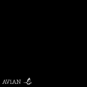 AVN#001 (EP)