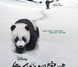 image-https://media.senscritique.com/media/000008787699/0/trail_of_the_panda.jpg